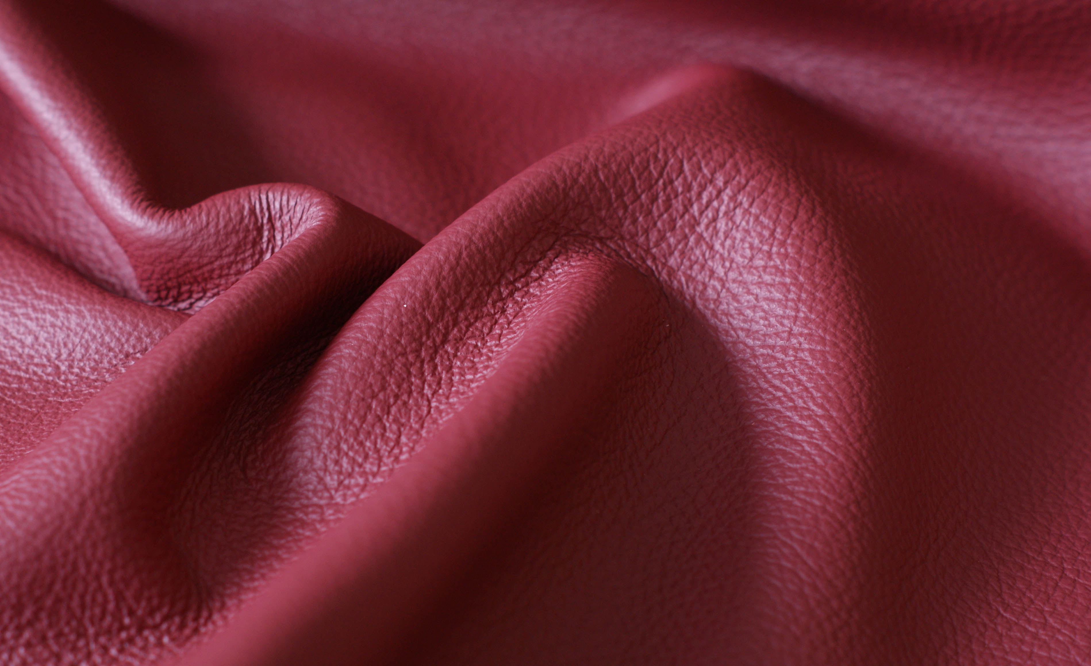 Protected grain leather